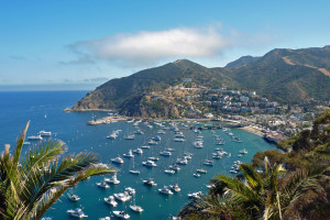 How to go to Catalina Island Completely for Free
