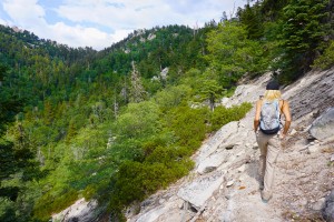 7 Things You Ought to Know About the Siberia Creek Trail