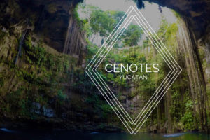 Not all Cenotes are Created Equal : A Quick Guide to the Best Cenotes in the Yucatan