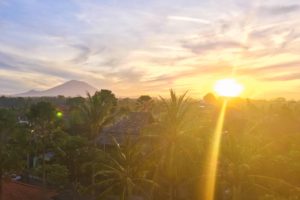 A Comprehensive Guide to Ubud, Bali (and not breaking the law)